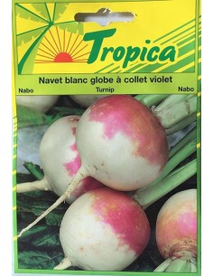 Graines de Navet Blanc Globe à Collet Violet - Tropica Tropica Graines du potager