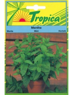 Graines de Menthe - Tropica Tropica Graines aromatiques