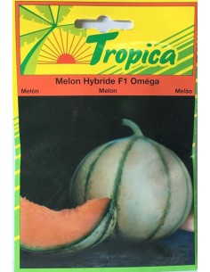 Graines de Melon Oméga - Tropica Tropica Graines du potager