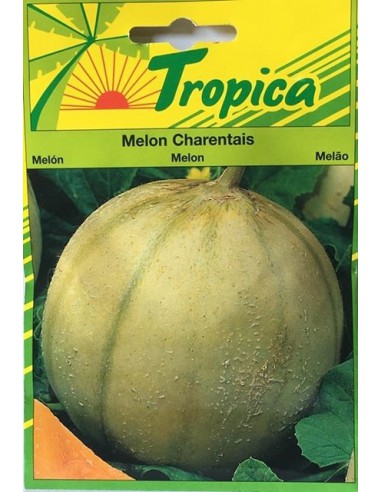 Graines de Melon Charantais - Tropica Tropica Graines du potager