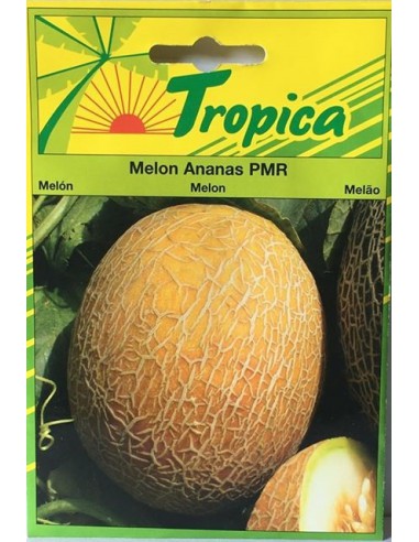 Graines de Melon Ananas - Tropica Tropica Graines du potager