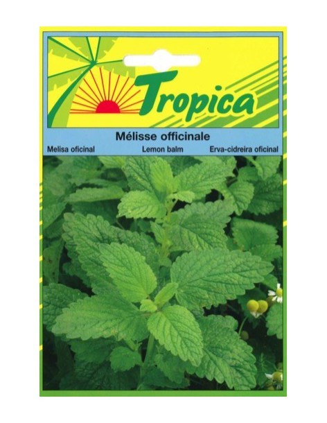 Graines de Mélisse Officinale - Tropica Tropica Graines aromatiques