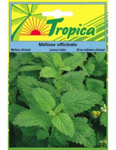 Graines de Mélisse Officinale - Tropica Tropica Graines aromatiques