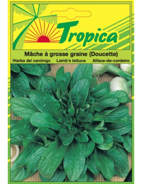 Graines de Mâche à Grosse Graine Doucette - Tropica Tropica Graines du potager