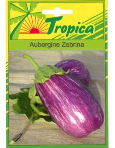 Graines d'Aubergine Zebrina - Tropica Tropica Graines du potager