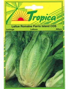 Graines de Laitue Romaine Parris Island - Tropica Tropica Graines du potager