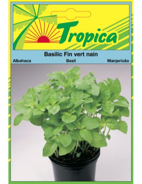 Graines de Basilic Fin Vert Nain - Tropica Tropica Graines aromatiques