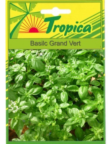 Graines de Basilic Grand Vert - Tropica Tropica Graines aromatiques