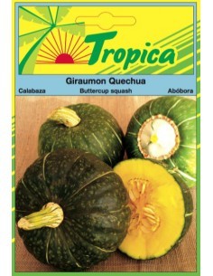 Graines de Squash Giraumon Quechua - Tropica Tropica Graines du potager