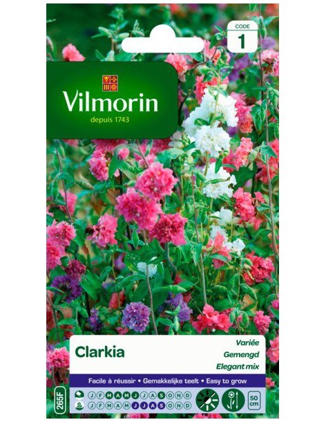 Clarkia Elégant Double Variée - Vilmorin Vilmorin Graines de plante fleurie