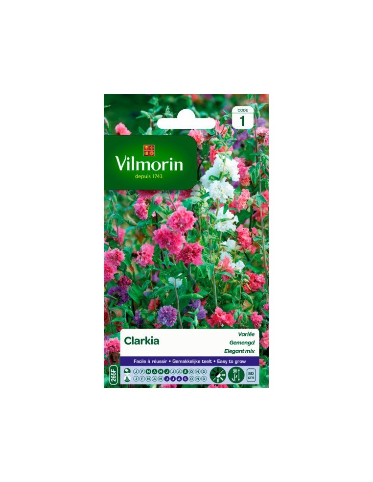 Clarkia Elégant Double Variée - Vilmorin Vilmorin Graines de plante fleurie