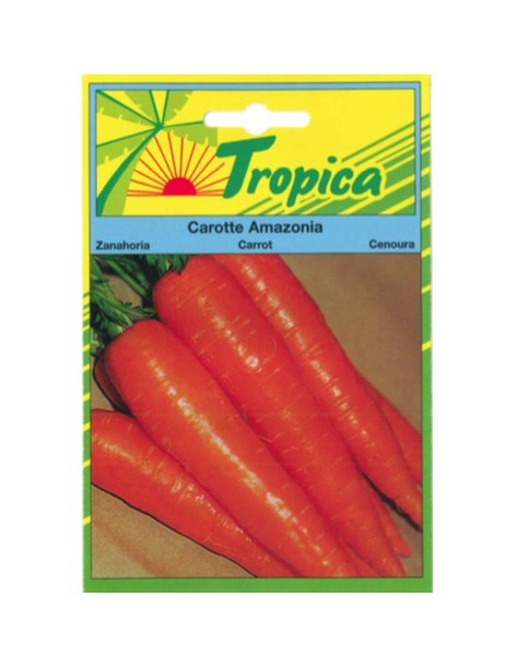 Graines de Carotte Amazonia - Tropica Tropica Graines du potager