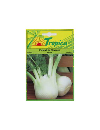 Graines de Fenouil de Florence - Tropica Tropica Graines du potager