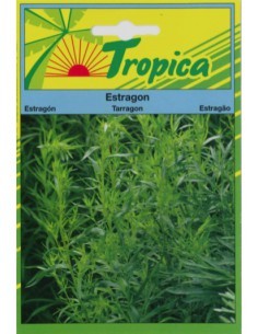 Graines d'Estragon - Tropica Tropica Graines aromatiques