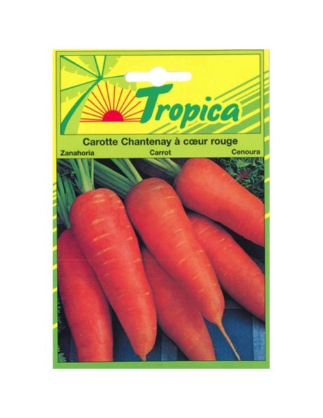 Graines de Carotte Chantenay à Cœur Rouge - Tropica Tropica Graines du potager