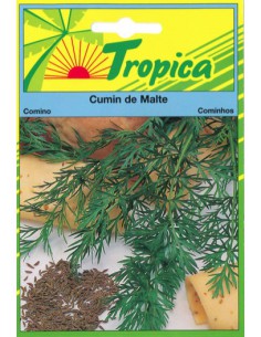 Graines de Cumin de Malte - Tropica Tropica Graines aromatiques
