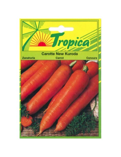 Graines de Carotte New Kuroda - Tropica Tropica Graines du potager