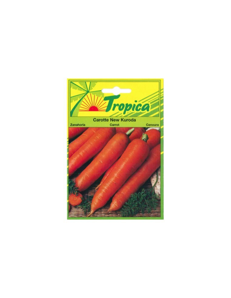 Graines de Carotte New Kuroda - Tropica Tropica Graines du potager