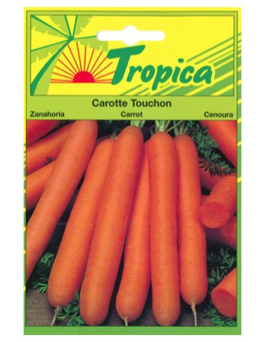 Graines de Carotte Touchon - Tropica Tropica Graines du potager