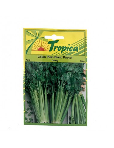 Graines de Cèleri Plein Blanc Pascal - Tropica Tropica Graines du potager