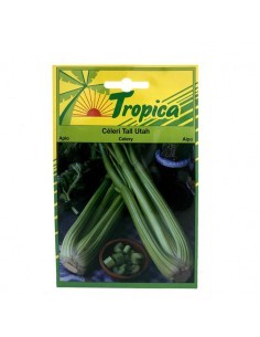 Graines de Cèleri Tall Utah - Tropica Tropica Graines du potager