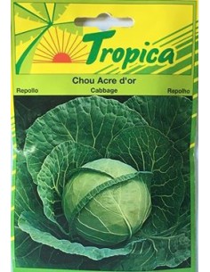 Graines de Chou Acre d'Or - Tropica Tropica Graines du potager
