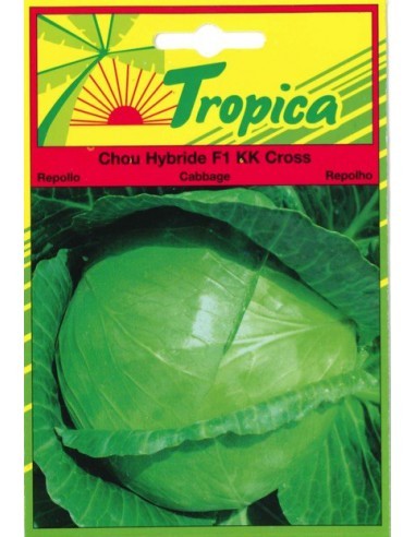 Graines de Chou Hybride F1 KK Cross - Tropica Tropica Graines du potager