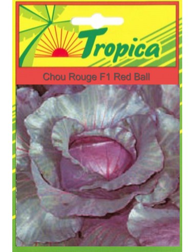Graines de Chou Rouge Red Ball - Tropica Tropica Graines du potager