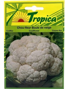 Graines de Chou-fleur Boule de Neige - Tropica Tropica Graines du potager