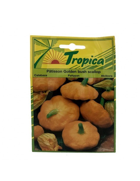Graines de Courgette Golden Bush Scallop - Tropica Tropica Graines du potager