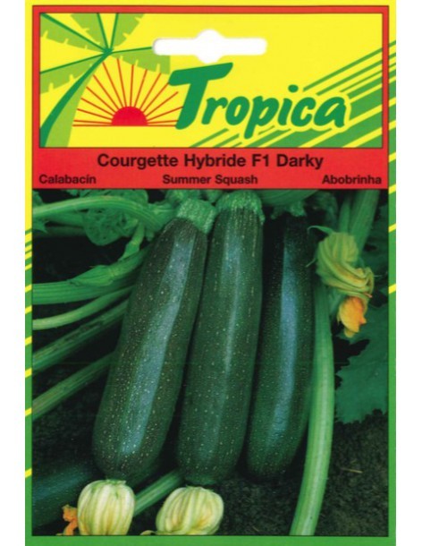 Graines de Courgette Darky - Tropica Tropica Graines du potager