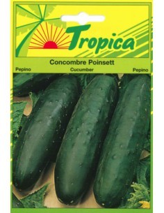 Graines de Concombre Poinsett - Tropica Tropica Graines du potager