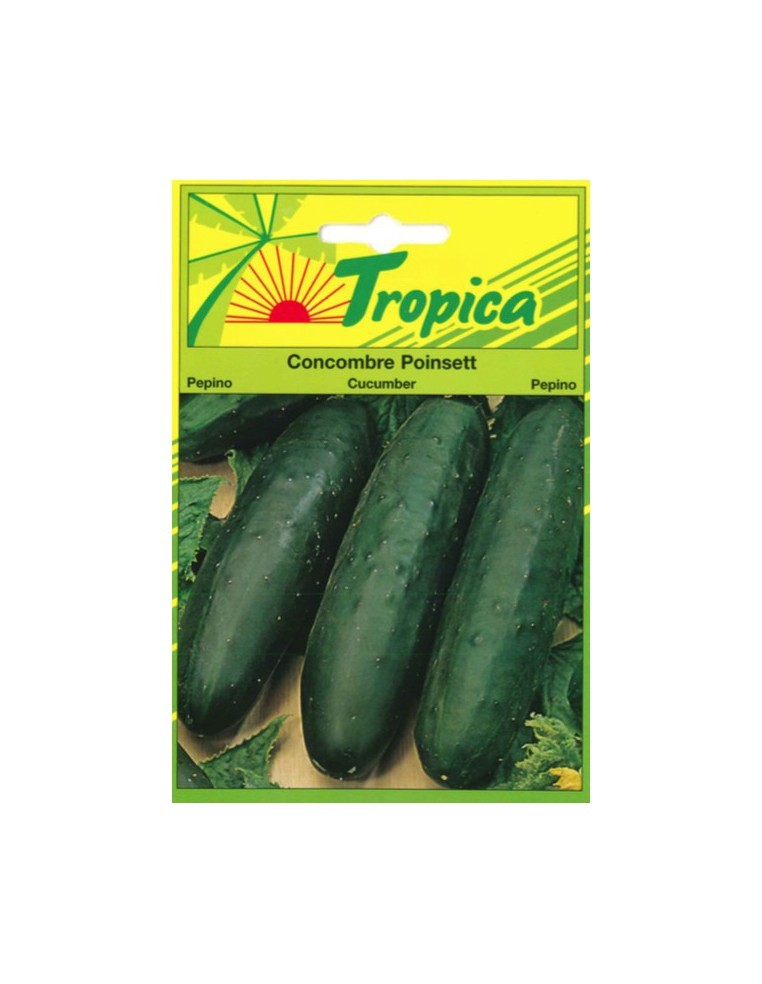 Graines de Concombre Poinsett - Tropica Tropica Graines du potager