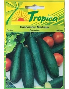 Graines de Concombre Marketer - Tropica Tropica Graines du potager