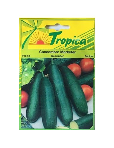 Graines de Concombre Marketer - Tropica Tropica Graines du potager