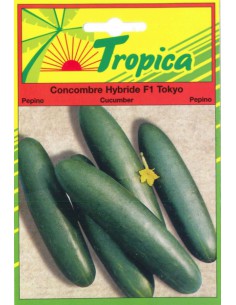 Graines de Concombre Tokyo - Tropica Tropica Graines du potager