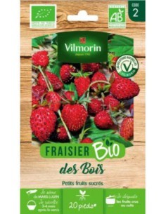 Fraisier Des Bois Bio - Vilmorin Vilmorin Graines du potager