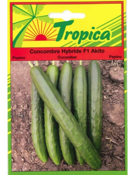 Graines de Concombre Akito - Tropica Tropica Graines du potager