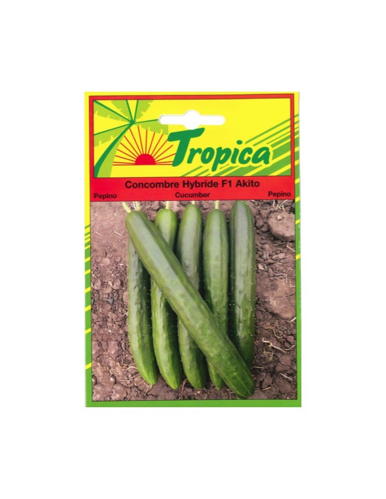 Graines de Concombre Akito - Tropica Tropica Graines du potager