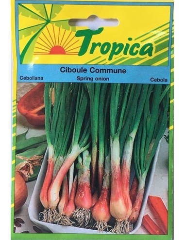 Graines de Ciboule Commune - Tropica Tropica Graines aromatiques