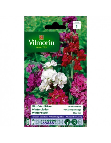 Giroflée D'Hiver De Nice Variée - Vilmorin Vilmorin Graines de plante fleurie