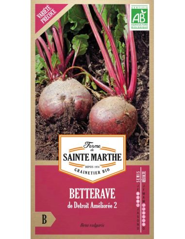 Betterave de Détroit améliorée 2 La Ferme de Sainte Marthe Graines du potager