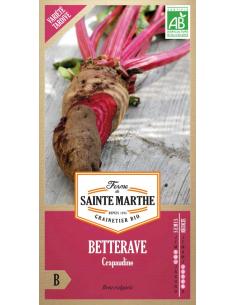 Betterave Crapaudine La Ferme de Sainte Marthe Graines du potager