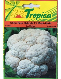 Graines de Chou Fleur Mont Perle - Tropica Tropica Graines du potager