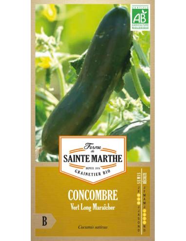 Concombre vert long maraîcher La Ferme de Sainte Marthe Graines du potager