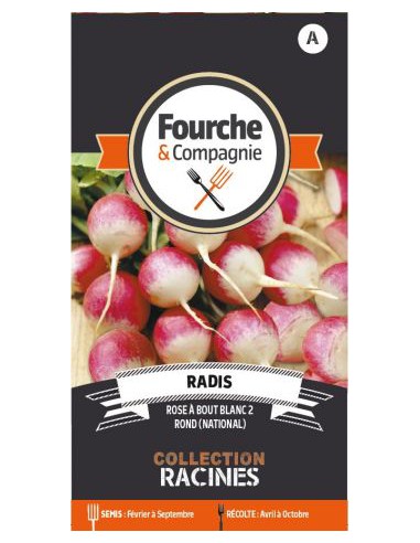 Graines de Radis Rose à Bout Blanc - Fourche & Compagnie Fourche & Compagnie Graines du potager