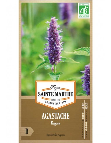 Graines d'Agastache Rugosa Bio - Sainte Marthe La Ferme Sainte Marthe Graines aromatiques