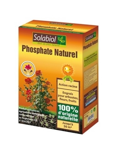 Phosphate naturel 1,5Kg Solabiol Engrais et matière première