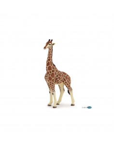 Figurine Girafe Male - Papo Papo Figurines