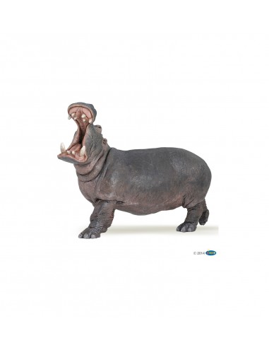 Figurine Hippopotame - Papo Papo Figurines